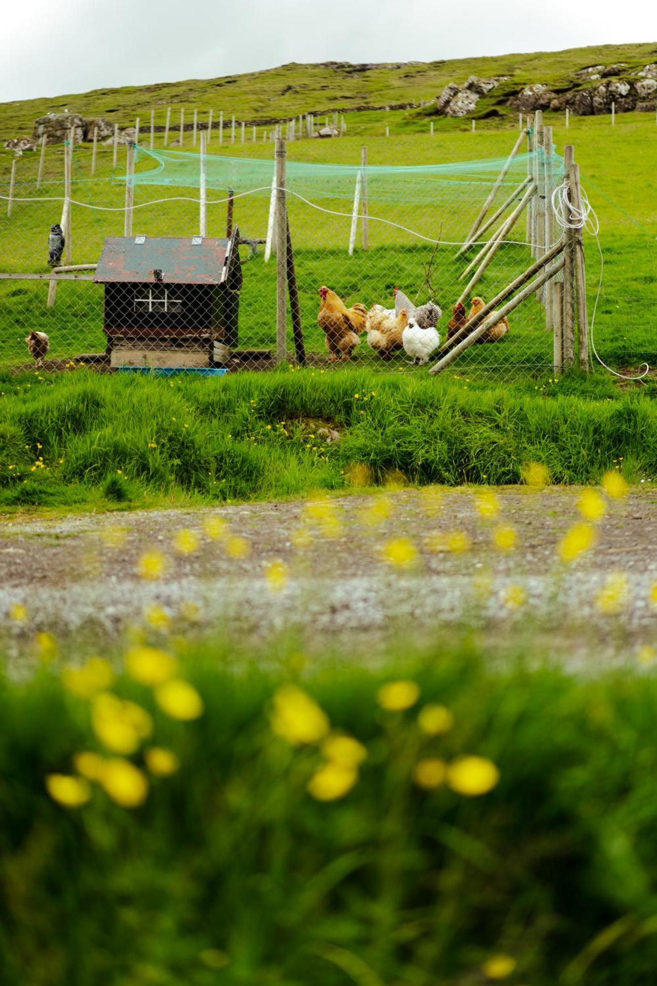 A Snaetu - Serene Village Stay Surrounded By Nature Sandavágur Exterior foto
